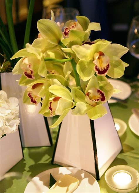 Shop the top 25 most popular 1 at the best prices! Premium Flowers: Wedding Themes: Orchid