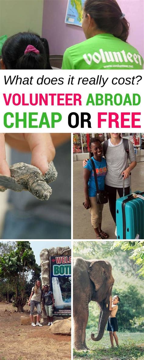 Can You Volunteer Abroad Cheap Or Free The Real Cost Of Volunteering