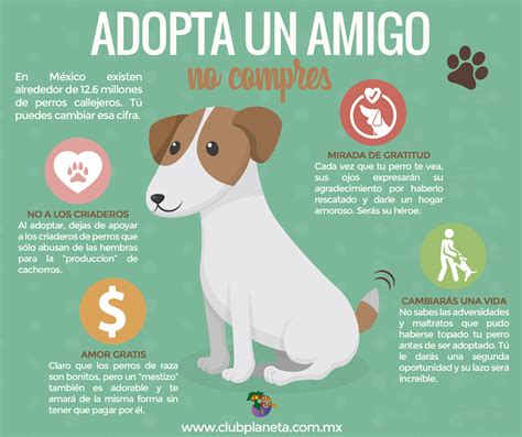 Adopta Un Amigo No Compres Mascotas En Adopcion Perros En Adopcion