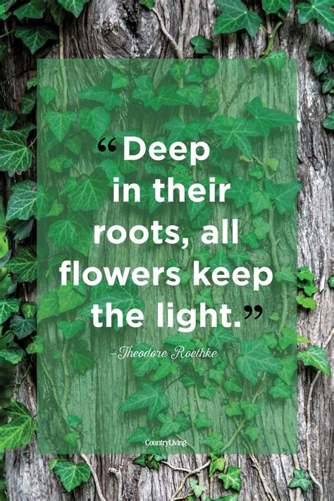 25 Best Nature Quotes Inspirational Sayings About Nature