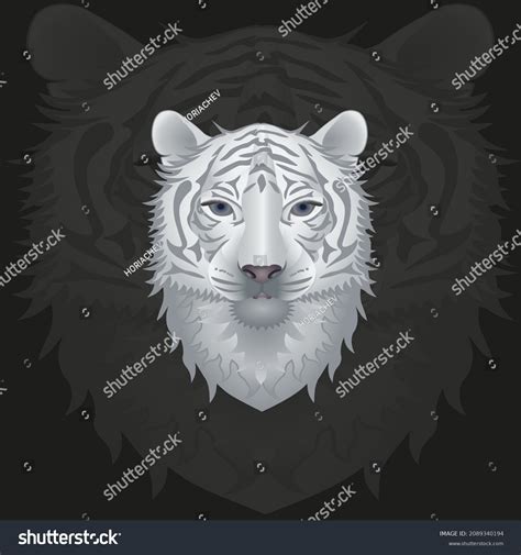 White Tiger Head On Dark Background Stock Vector Royalty Free