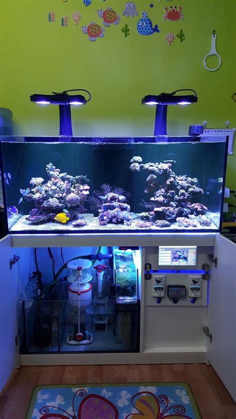 How To Aquascape Saltwater Aquarium Saltwater Fish Tanks Coral Aquarium