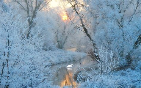 Frosty Christmas Morning Wallpapers Wallpaper Cave