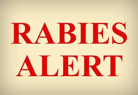 Rabies Alert Alachua County Flickr