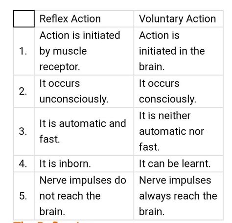 How Are Voluntary Actions And Reflex Action Different From Each Other