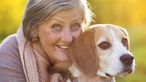 What Are the Benefits of Owning a Dog After 60? What Does Your 