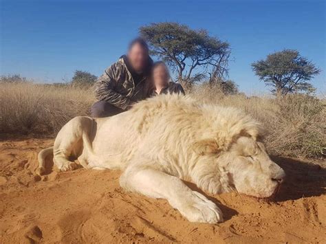 Canadian Couple Kill Lion On Safari And Kiss In Photo That Has The