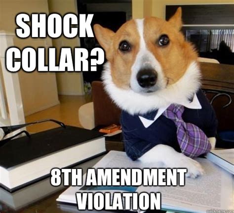 Shock Collar 8th Amendment Violation Lawyer Dog Quickmeme
