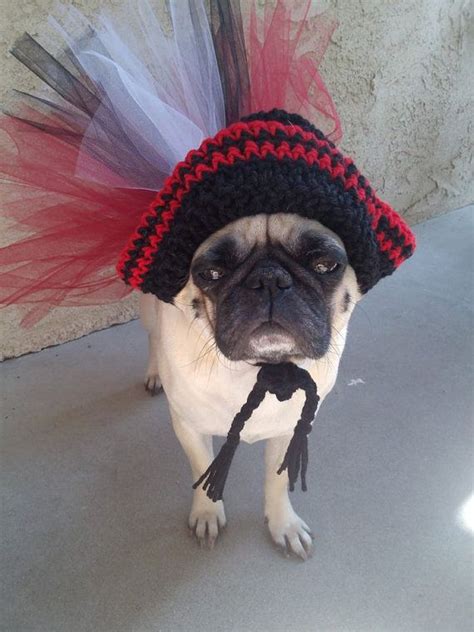 Dog Hats Crochet Pirate Hat Dog Halloween Dog Halloween Costumes
