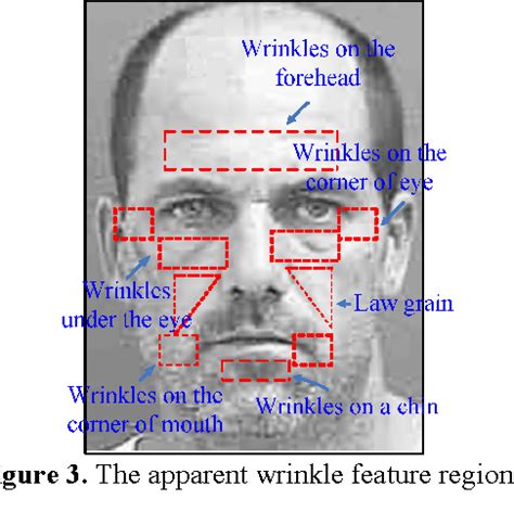 Figure From Age Estimation Using Aam And Local Facial Features