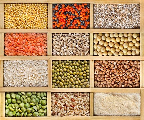 Perché non iniziare consultando il nostro ranking relativo alle verdure con il minor contenuto di proteine? Cibi ricchi di proteine vegetali: ecco quali sono - Non ...