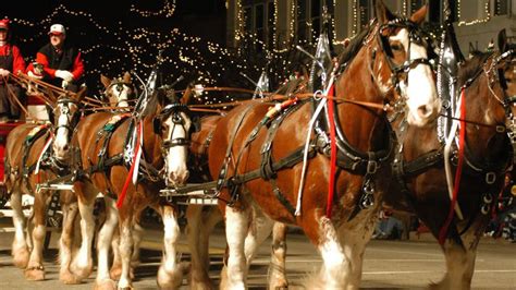 Lebanon Horse Carriage Parade And Festival Light Up Fairfield