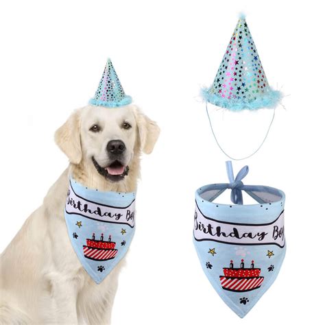 Shiny Dog Birthday Hat And Bandana Set With Birthday Girlboy Bone One