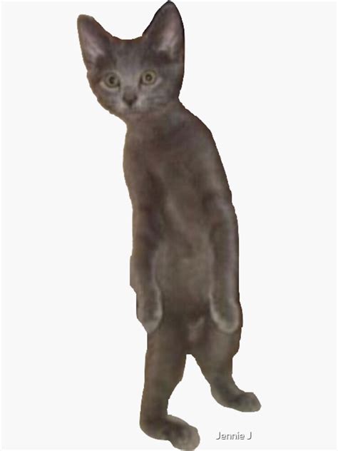 Awkward Cat Meme Standing Sticker For Sale By Syracuse2 Redbubble
