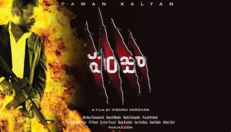 Panjaa 2011