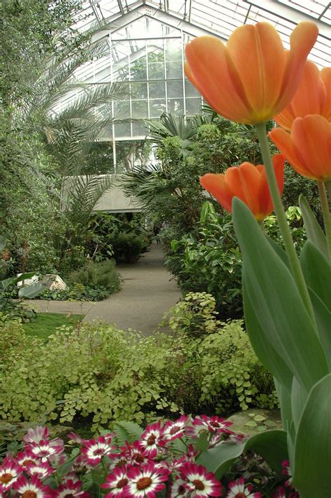 Matthaei Botanical Gardens At The University Of Michigan In Ann Arbor