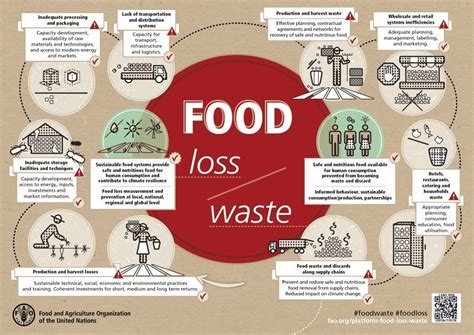 Global Food Waste Twice The Size Of Previous Estimates World Economic