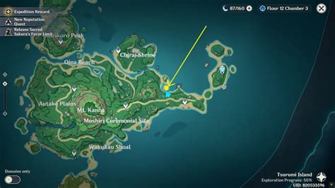 Tsurumi Island All 17 Electro Seelie Locations Genshin Impact 22