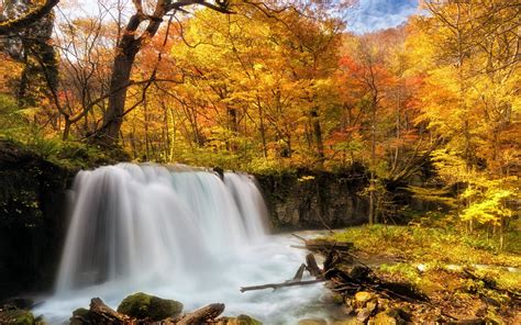 Download Wallpapers Waterfall Autumn Forest Yellow Trees Autumn