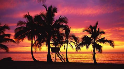 Hawaii Sunset Wallpaper ·① WallpaperTag