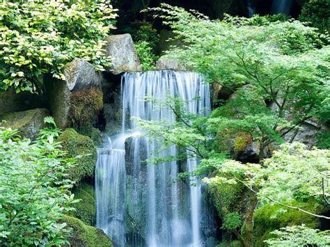Japanese Garden Waterfall Waterfall Garden Japanese Nature Hd