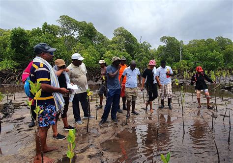 Map At Mangrove Action Project