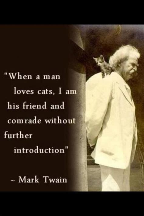 Their unique personalities and behaviors lead to some wonderful cat quotes. Cat Friend Quotes. QuotesGram