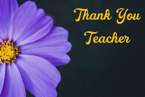147 Best Thank You Teacher Messages Teacher Appreciation Thank You
