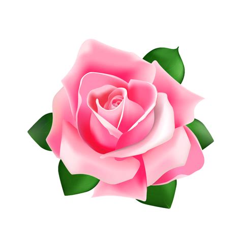 Free Clipart Of A Pink Rose Pink Rose Clipart Stunnin