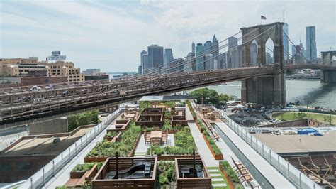 See A Rooftop Garden In Brooklyn Inspired By The High Line