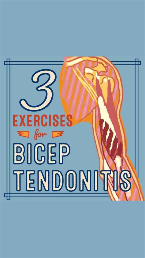 3 Exercises For Bicep Tendonitis In 2022 Biceps Workout Bicep