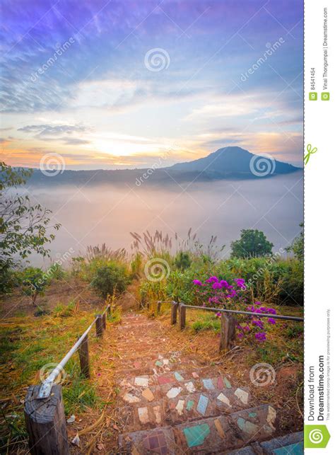 Stairway To The Mist Stock Photo Image Of Ladder Forenoon 84541454