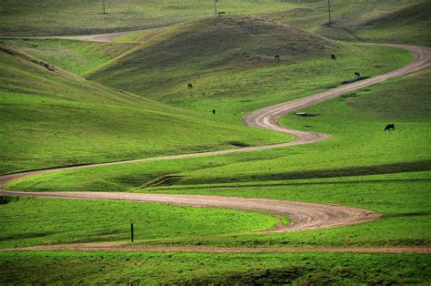 Dirt Road Through Green Hills By Mitch Diamond