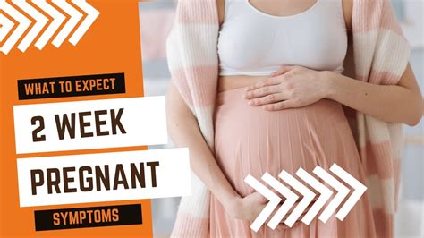 2 Week Pregnant What To Expect Youtube