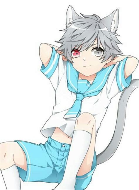 Anime Little Boy Anime Cat Boy Anime Neko Anime Cat