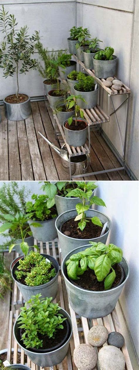 Get inspiration for your own vegetable patch from these garden designs and plans. Top 24 Awesome Ideas to Display Your Indoor Mini Garden ...