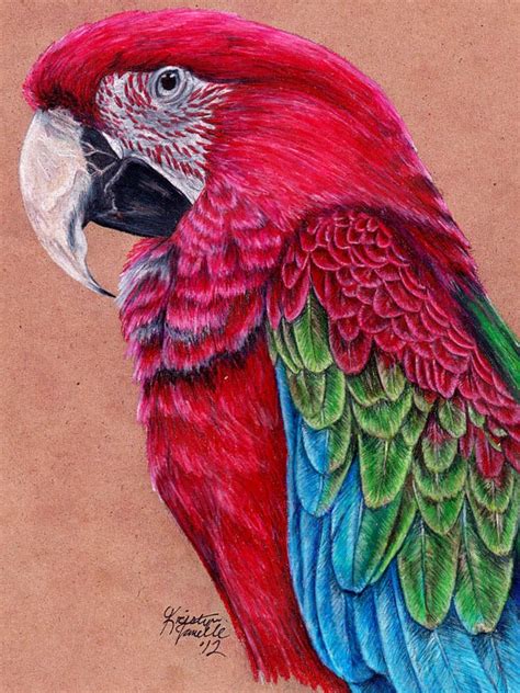 25 Best Bird Drawings For Your Inspiration Fine Art And You