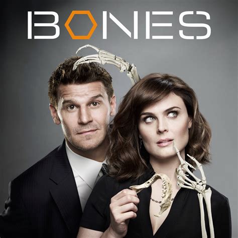Bones Season 8 On Itunes