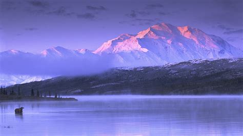 Sunset Alaska Mist Moose Lake Mountains Landscape Cold Nature