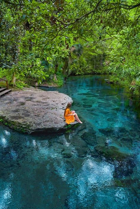 12 Best Natural Springs Near Tampa You Must Visit 2022