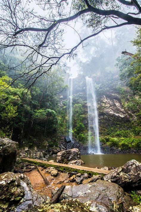 Twin Falls Hike In The Springbrook National Park Queensland Stock