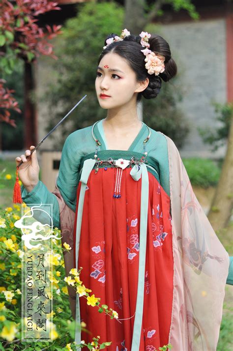 Hanfu is a term used for the historical styles of clothing worn by the han people in china. Tang Dynasty Hanfu Ruqun | Hanfu, Chinese traditional ...