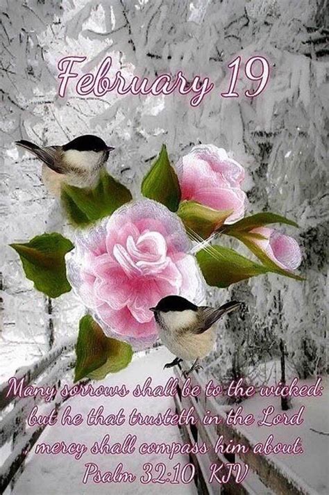 February Images Hello February Quotes February 19 Daily Scripture