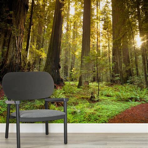 Sea Of Trees Forest Wallpaper Mural Hovia Uk Woodland Wallpaper