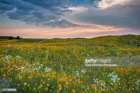 Nebraska Spring Photos And Premium High Res Pictures Getty Images