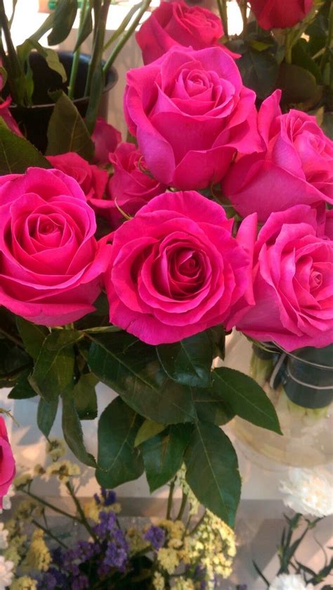 Mahasin Idris Beautiful Rose Flowers Beautiful Flowers Garden