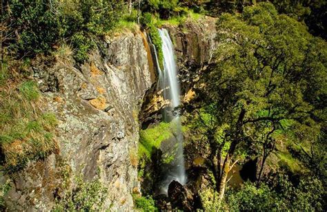 Waterfalls Of North West Tasmania