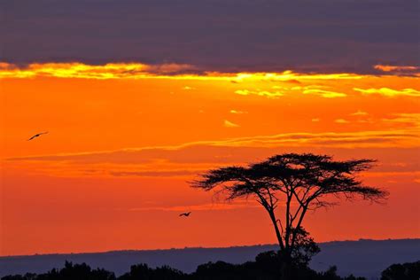 Sunset At Kenya Country Photography Beautiful Sunrise Kenya