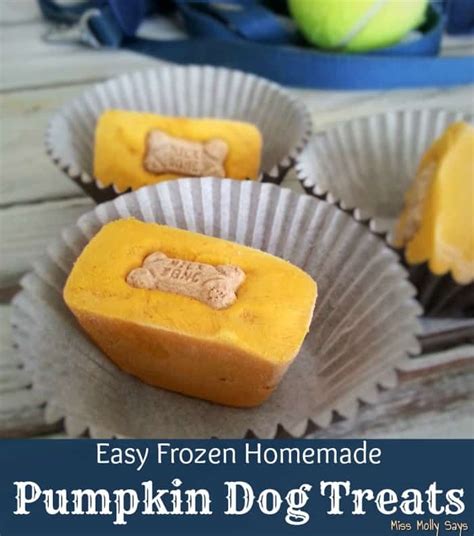 Easy Frozen Homemade Pumpkin Dog Treats Only 3 Ingredients