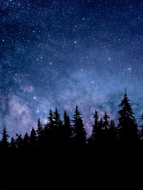 Night Wallpaper 4k Starry Sky Forest Silhouette Astronomy Nature